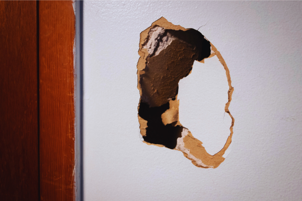 For Crestview Landlords: How to Legally Handle Lease Violations